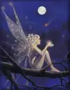 Fairy