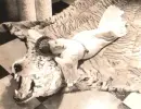 Gloria Swanson, actress, vintage