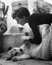 audrey hepburn, actress, vintage, dog