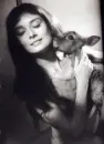 audrey hepburn, actress, vintage, deer