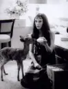 audrey hepburn, actress, vintage, deer