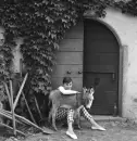 audrey hepburn, actress, vintage, donkey