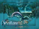 Brittany Dolphin Tag