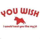 Jack Russell Terrier