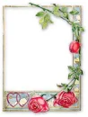 Red  Rose