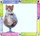 Cat in A Glass