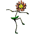 hippie