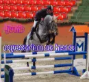 Equestrian at heart
