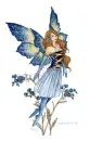 Blue faery