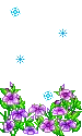 Purple flovers