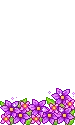 Purple flowers