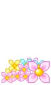 Pink flowers