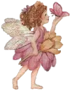 Faery and the butterfly