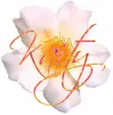 Kaity