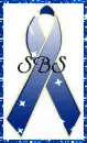 SBS B