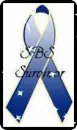 SBS SURVIVOR