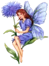Blue faery