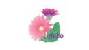 Hello
