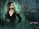 bellatrix