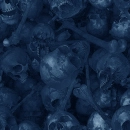 blue skull
