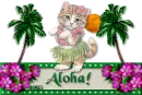 Aloha