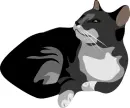 cat