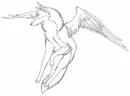 angels of wolves