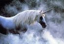 unicorn-1