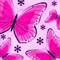 pink butterflies