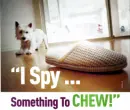 something 2 chew