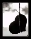 diedheart