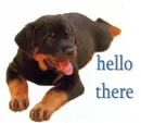 Hello there