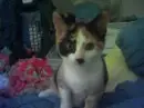 I see you