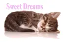 sweet dreams