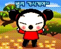 pucca