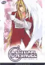 DNANGEL