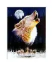 wolfhoul