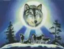 wolf12