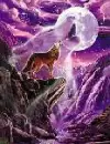 wolf6