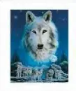 wolf8