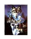 wolf14