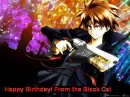 Black Cat