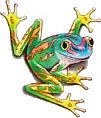 frog
