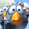 birds