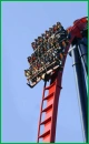 Bush Gardens Tampa