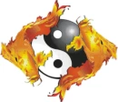 koi fish and ying yang