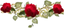 Roses for m