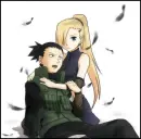 shikaino