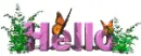 hello