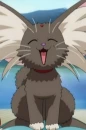 Ryoki